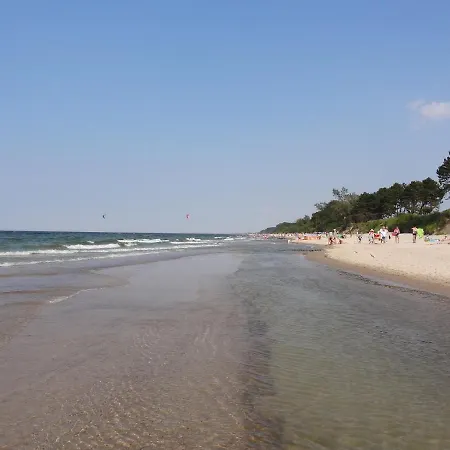 Oasis Деревянный коттедж *