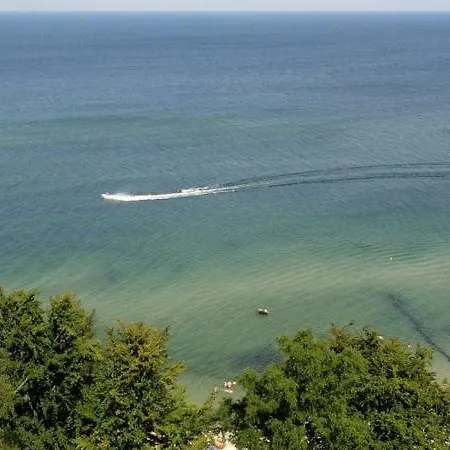 Oasis * Gąski