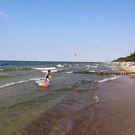 Oasis * Gąski